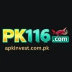 PK 166 Game